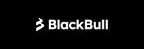 Blackbull Markets logo